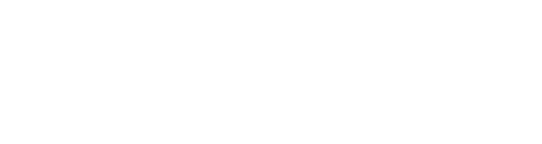 Relief Operations International Global Defender logo Relief Operations International Global Defender logo