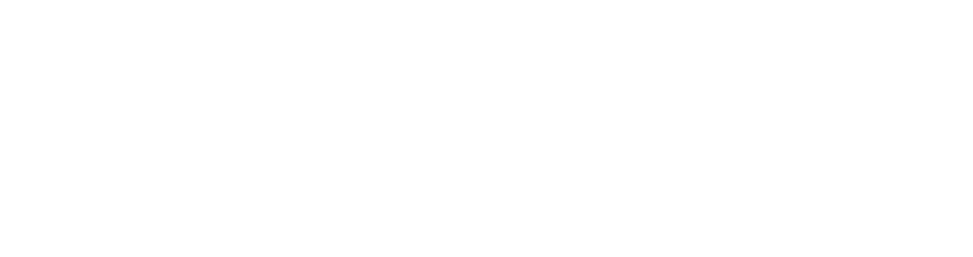 Relief Operations International Logo Relief Operations International Logo